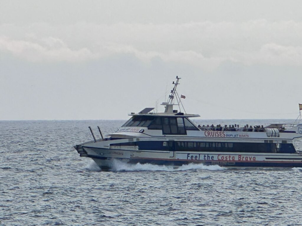 32e03d91-e44b-4766-8099-f3d93e973a0c